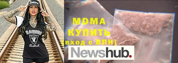 молекула духа Богданович