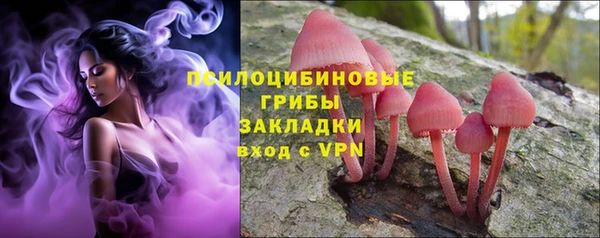 прущий лед Богородск