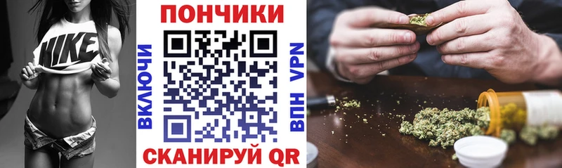 Шишки марихуана сатива  Волосово 